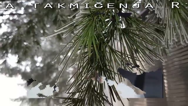 Tuga   U M R L A  je poslednja zvezda našeg filma    Mira banjac poslala telegram saučešća смотреть онлайн