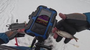 Ловля на блесну зимой. Рыбалка в марте. Зимний эхолот.