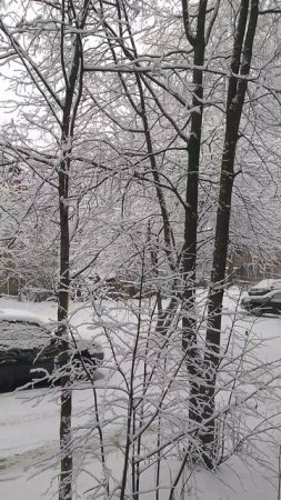 2 МАРТА  ОПЯТЬ ЗИМА