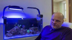 Про олово в морском аквариуме