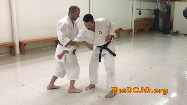 Saifa Kata Bunkai/Applications - Goju Ryu Karate смотреть онлайн