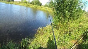 Карась на маховую удочку. Холодное лето 2019 года.