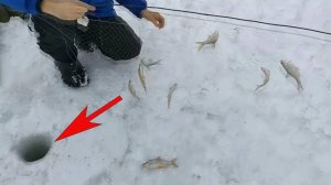 Рыбалка на косынку! удочки молчали! поставили косынки на 15 минут и офигели!