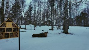 Гостиница для насекомых