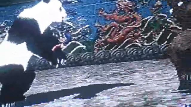 Tekken - Panda vs Kuma shuffle