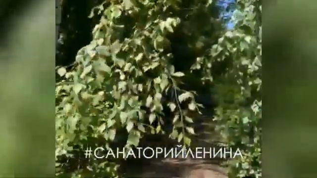 Прогулка по парку санатория имени В. И. Ленина (Курорт Ундоры)