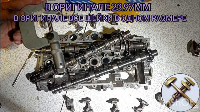 Замена распредвалов и цепи PSA DV6TED4