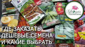 Какие семена купить для отличного урожая