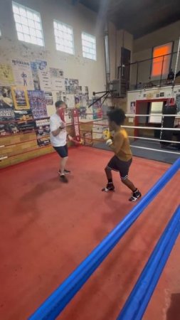 Padwork is the perfect opportunity to teach & integrate footwork & defense into your boxer