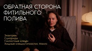 минусы ФИТИЛЬНОГО ПОЛИВА и ПОЛУГИДРОПОНИКИ | Энхитреи, Сциариды, Гнилостные клещи | ХИЩНЫЕ КЛЕЩИ