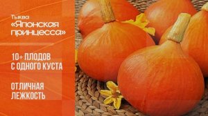 Тыква "Японская принцесса"