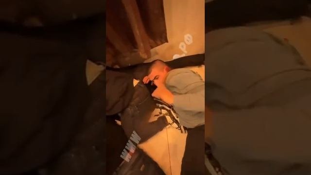 Поздравление диаспоры