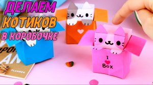 Оригами Котик в Коробочке из бумаги