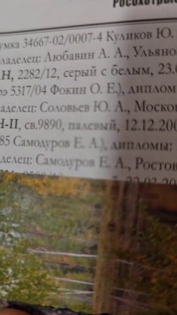 Мои лайки в каталоге всероссийской выставки охотничьих собак