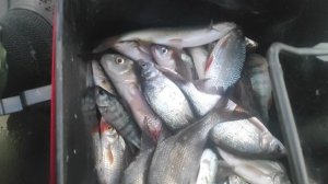 СовХакасия 2я протока.