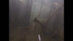 Подводная охота днём в Мензелинске. Соревнования по подводной охоте