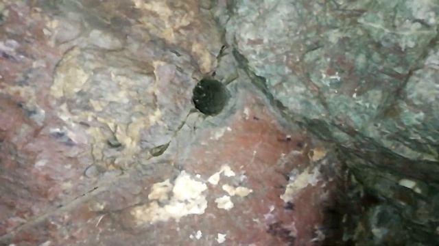 Сахалин, тоннель у устья реки Островка смотреть онлайн