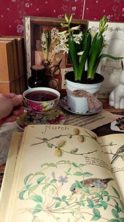 Весна 🌱