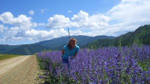 Стас Михайлов - Берега мечты