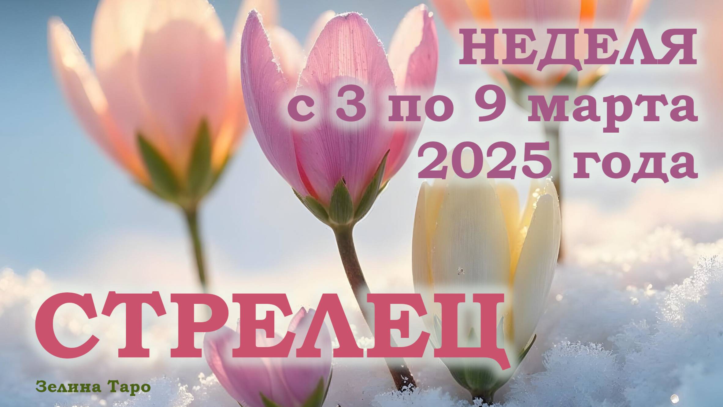 СТРЕЛЕЦ | ТАРО прогноз на неделю с 3 по 9 марта 2025 года
