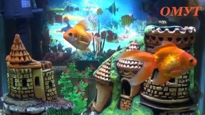 265. ПОЛЕЗНЫЕ КОММЕНТЫ ОТ НАШИХ...