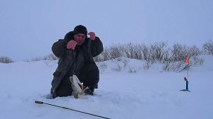 Трудовая дорога даёт свой плоды.