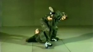Боевое САМБО