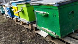 Ревизия 8 марта 2020 г. -2