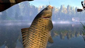 Ловля,Карпа,Сазана,Карася.
на тесто! Игра Fishing Planet