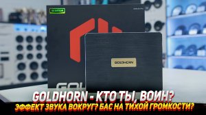 GOLDHORN DSPA 810 Pro- Обзор и установка.