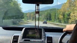 Фернандо Алонсо и Анзор Мамаладзе