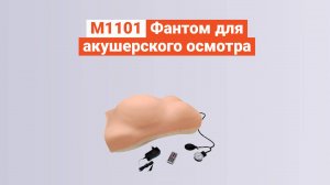 М1101 - Фантом для акушерского осмотра