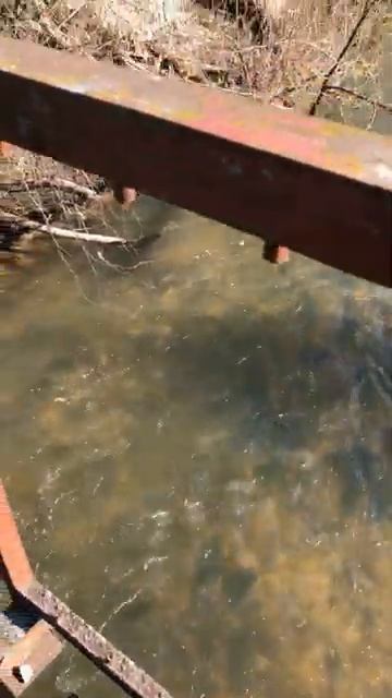 Издалека долго, течет река ... #shorts #short смотреть онлайн