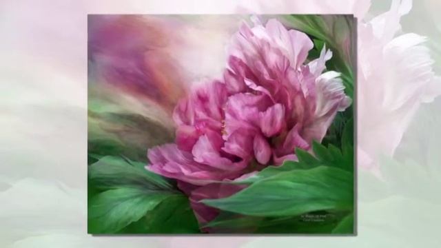 Цветочный вернисаж  Carol Cavalaris