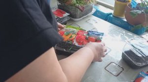 Купила СЕМЕНА. Посеяла ПЕРЦЫ, БАКЛАЖАНЫ.Черенкую ПЕТУНИИ.