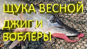 🔥 Рыбалка весной. ЩУКА на ВОБЛЕРЫ и ДЖИГ. На что клюнет пассивная щука по холодной воде? 🔥