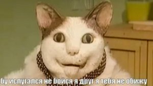 прохождение игры бу испугался не бойся я друг