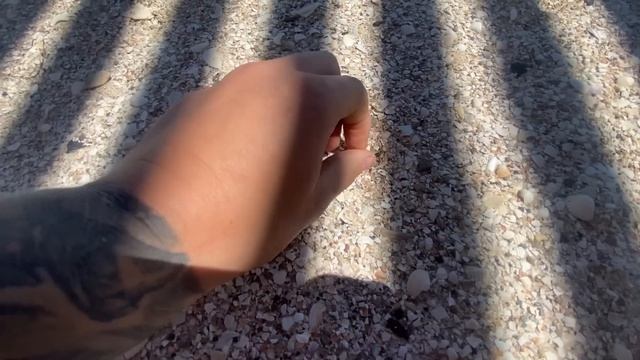 Азовское море - внутреннее море России. 2 июня 2024 смотреть онлайн