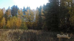 Кружева