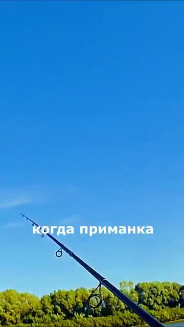 Лучшие проводки для джига!Как ловить на джиг!Рыбалка джигом на спиннинг!Ловим рыбу джигголовкой!