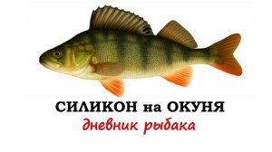 Силикон на окуня.