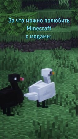 Больше модов в тг "Мурка и кубики"