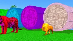 Paint Animals Color Tiger, Lion, Bear, Gorilla, Leopard, Crocodile, Hippo Fountain Animal Pass