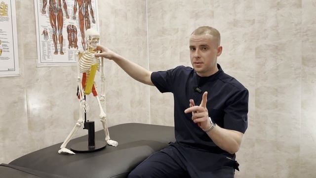 Подготовка к беременности. Часть 1.  Какие упражнения подготовят вас к благоприятной беременности ?