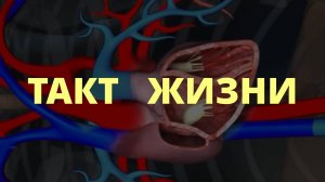 ТАКТ ЖИЗНИ. 1 часть сериала Сердце и Человек