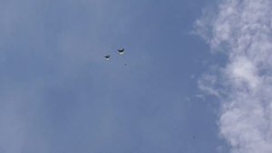 голуби донецка 08.06.2019( полёт в обед +28 )