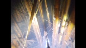 Подводная охота в Мензелинске