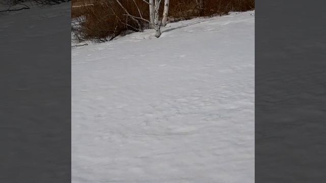 мотоциклист.mp4