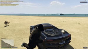 Grand Theft Auto V