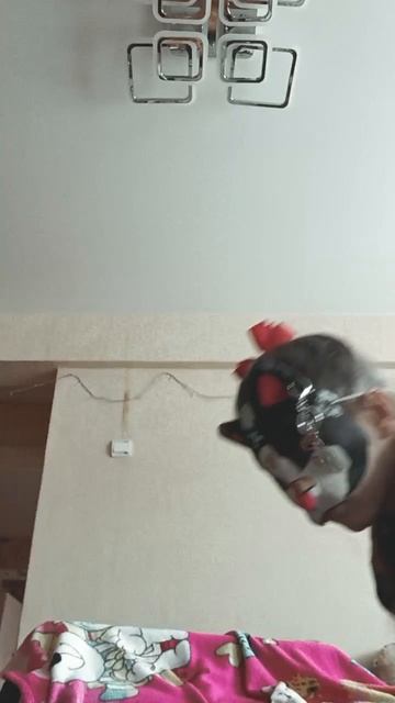 квд смотреть онлайн